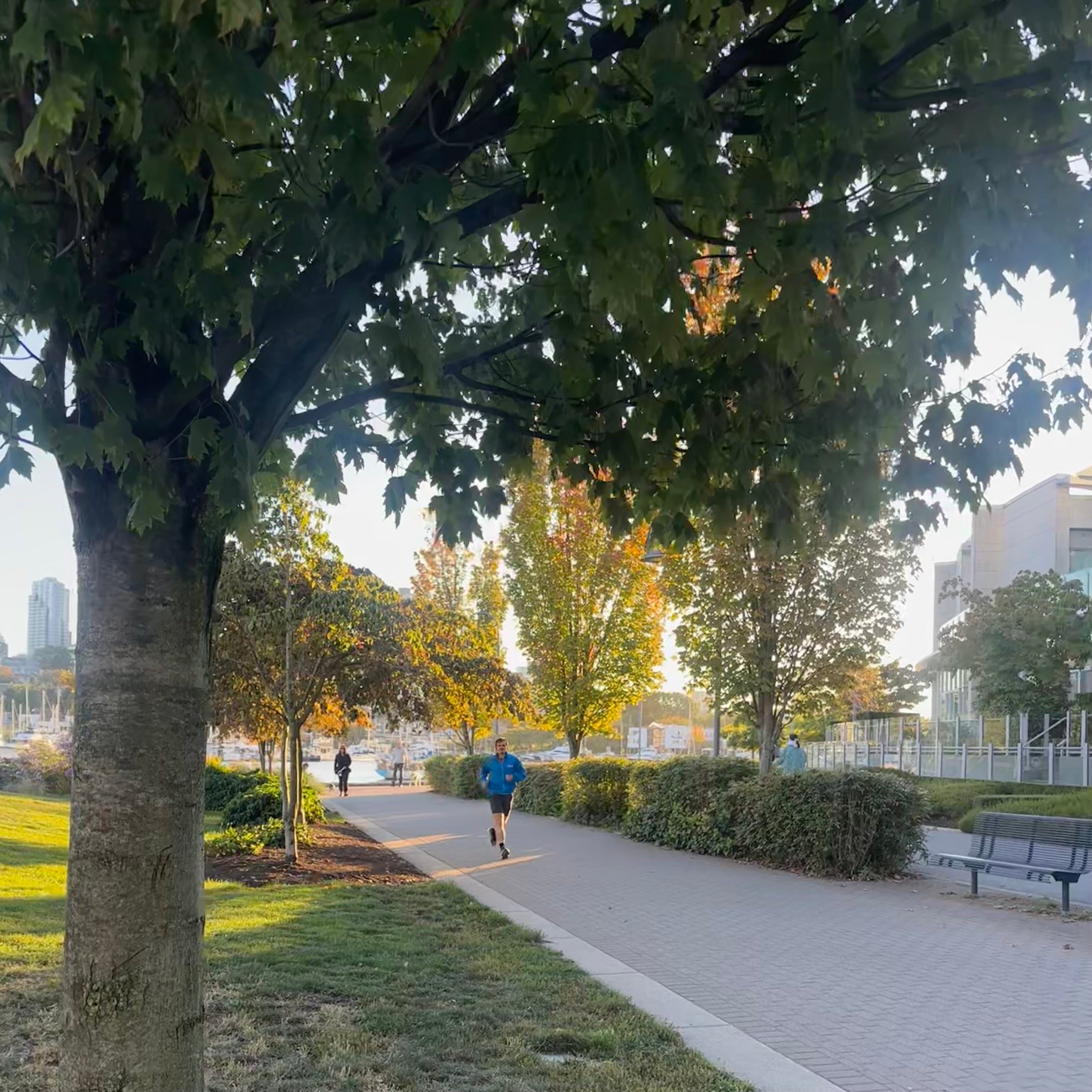 David Lam Park