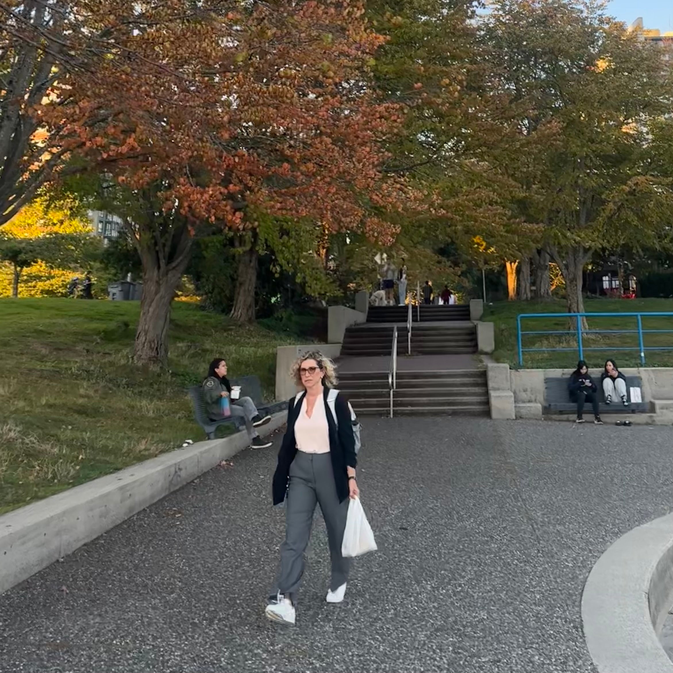 David Lam Park