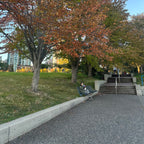 David Lam Park