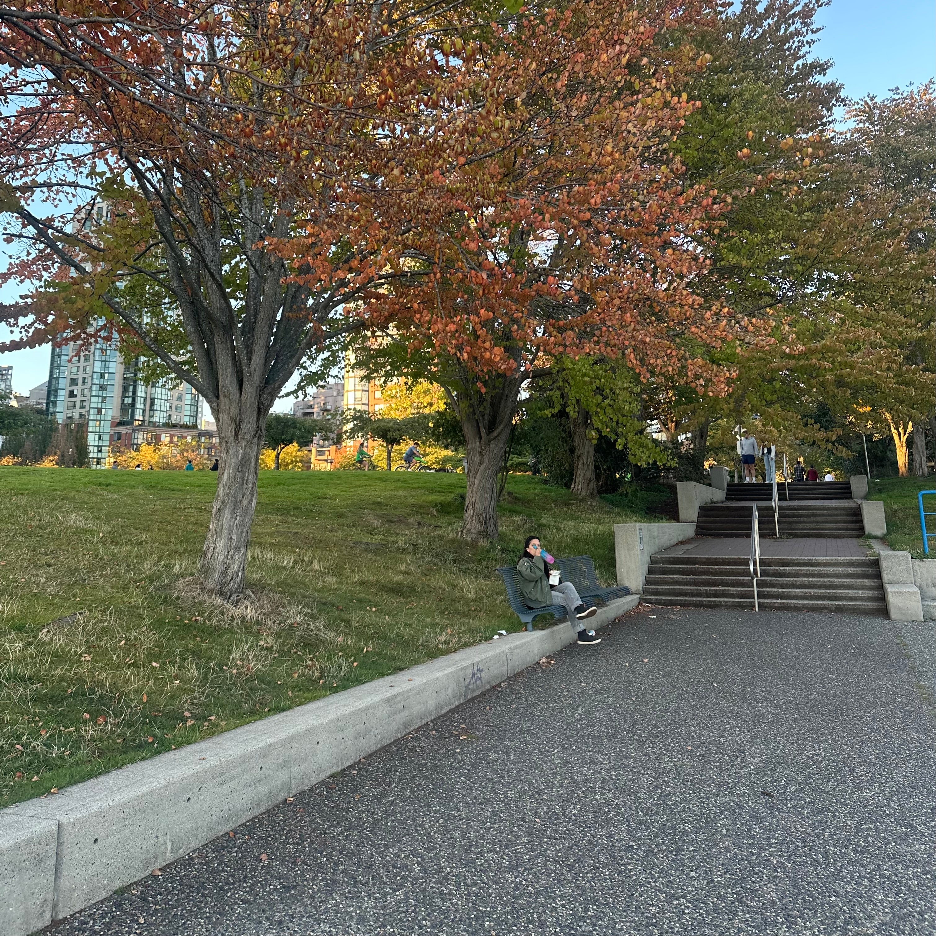 David Lam Park
