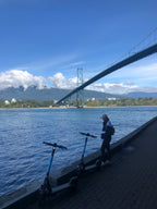 Seawall Under Bridge