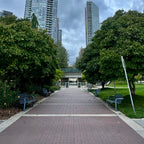 David Lam Park