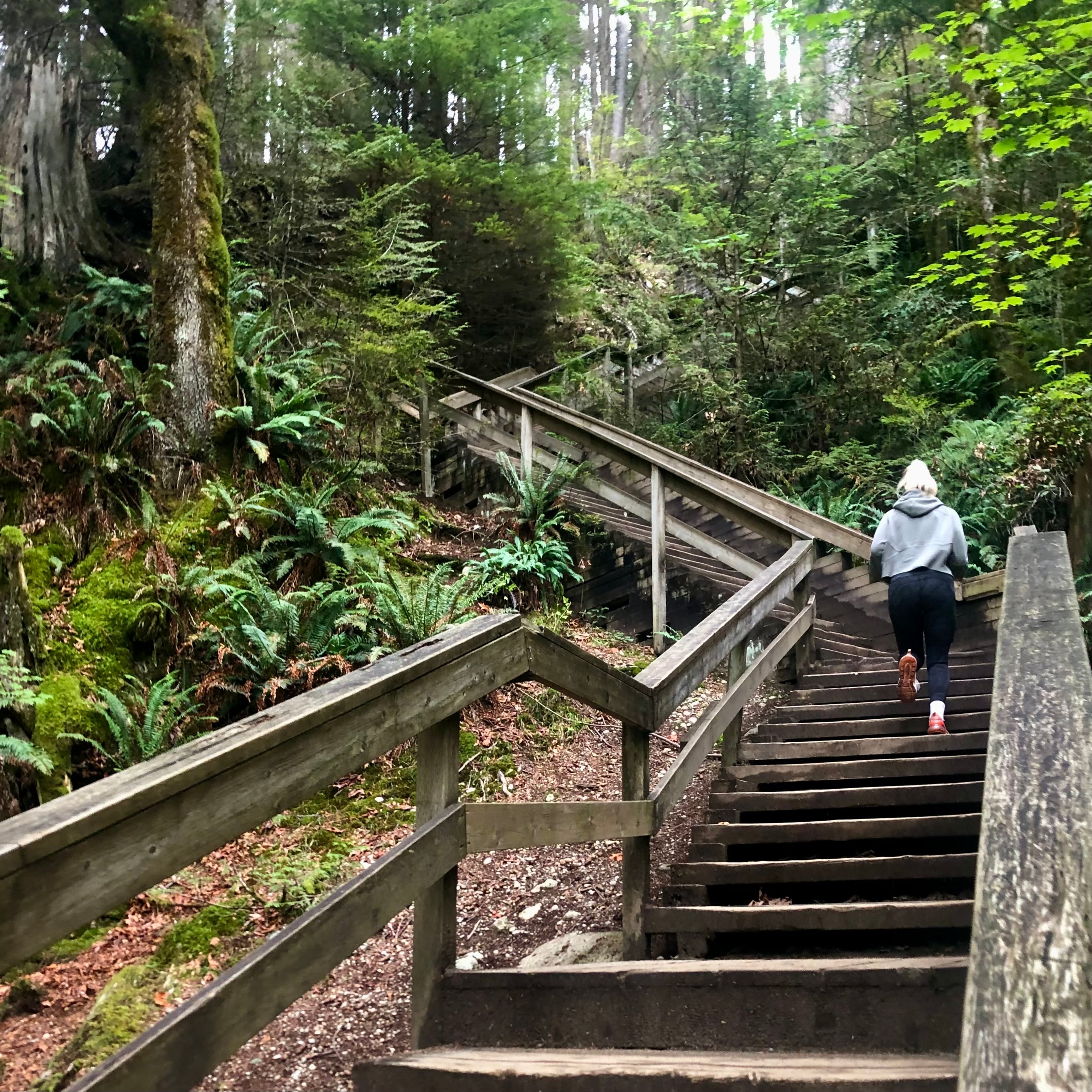 Forest Wood Staircase