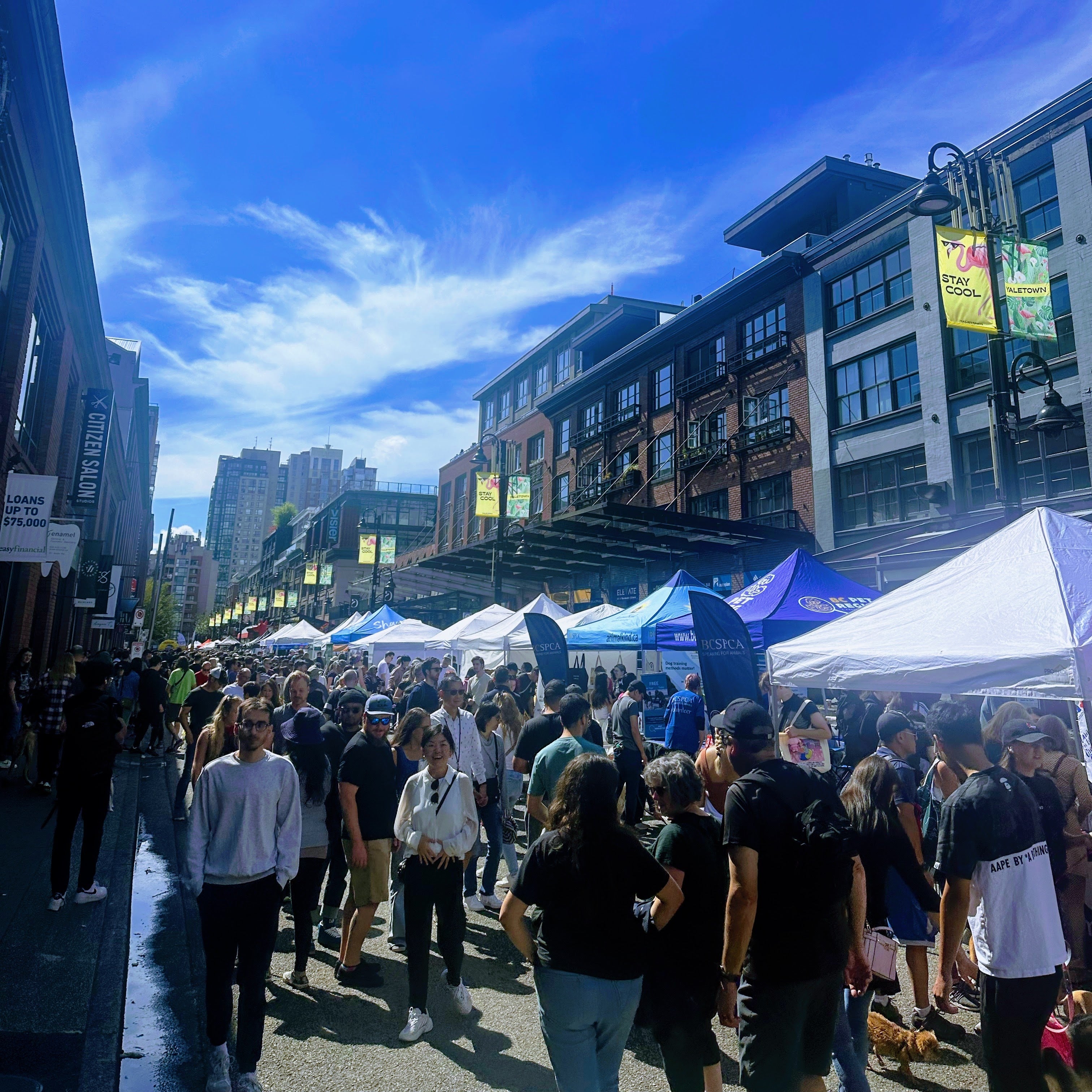 Day of the Dog Festival
