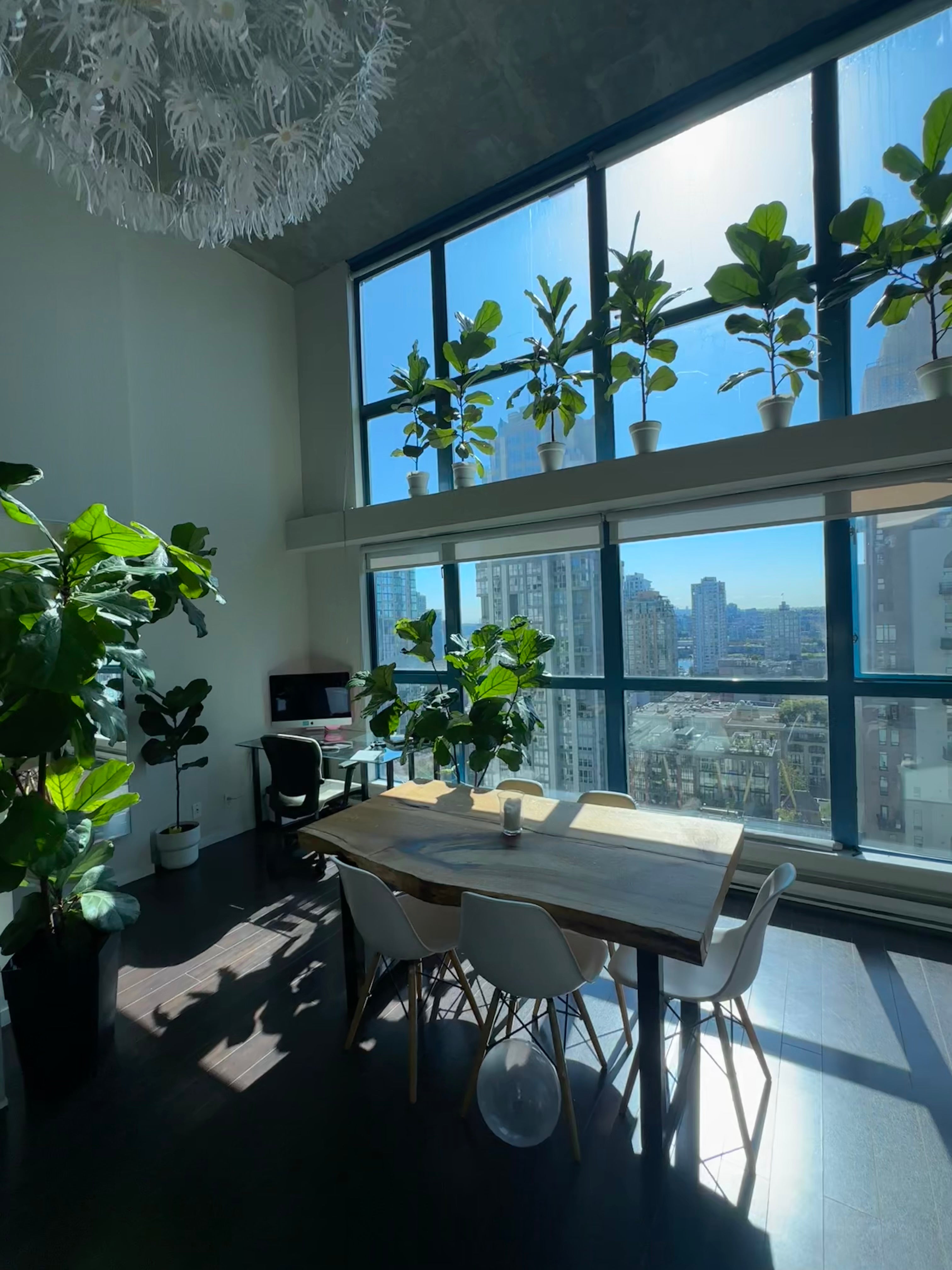 Lifestyle Imagery - The Fiddle Leaf Loft