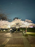 Yaletown Cherry Blossom Festival