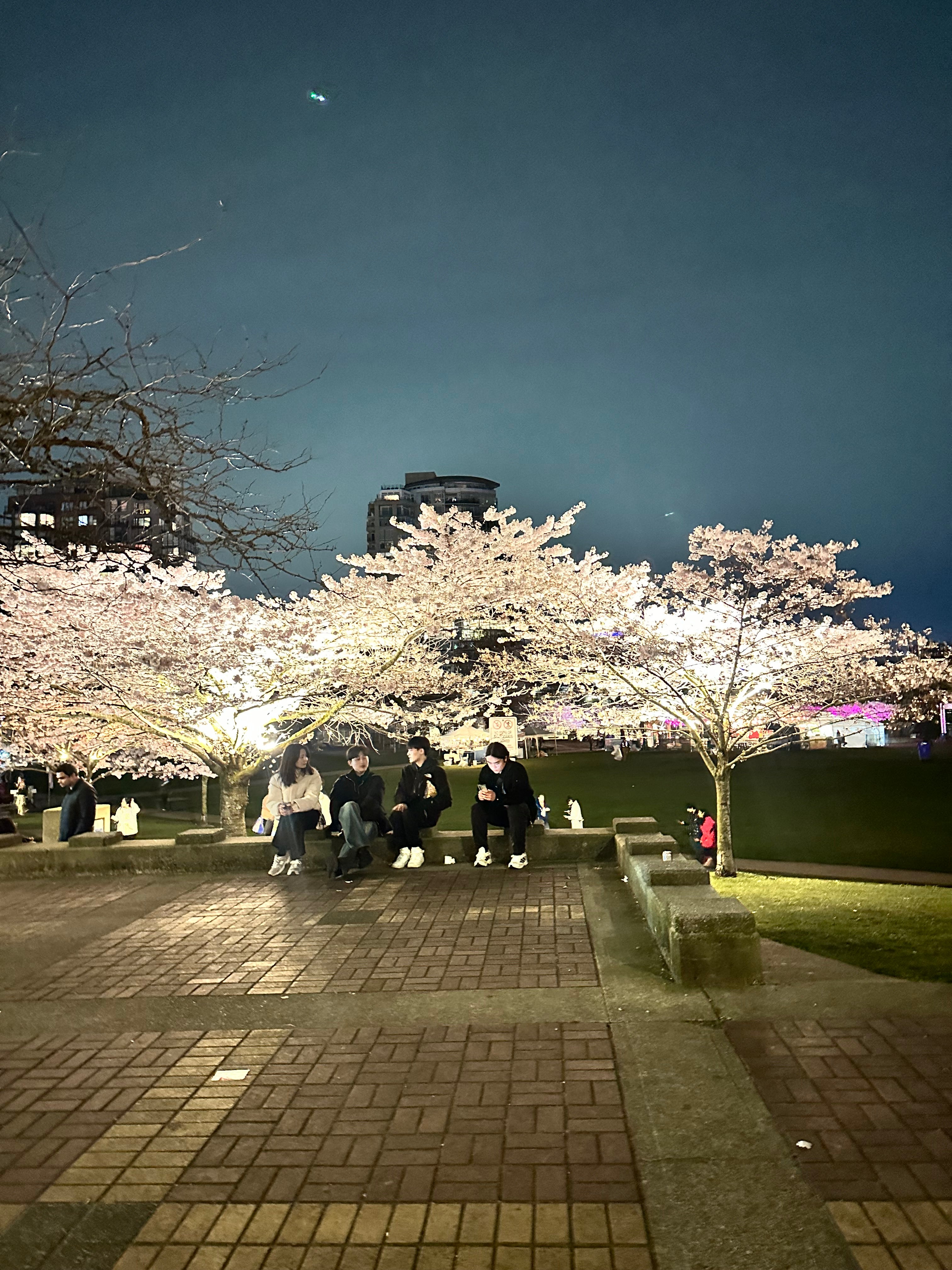 Yaletown Cherry Blossom Festival