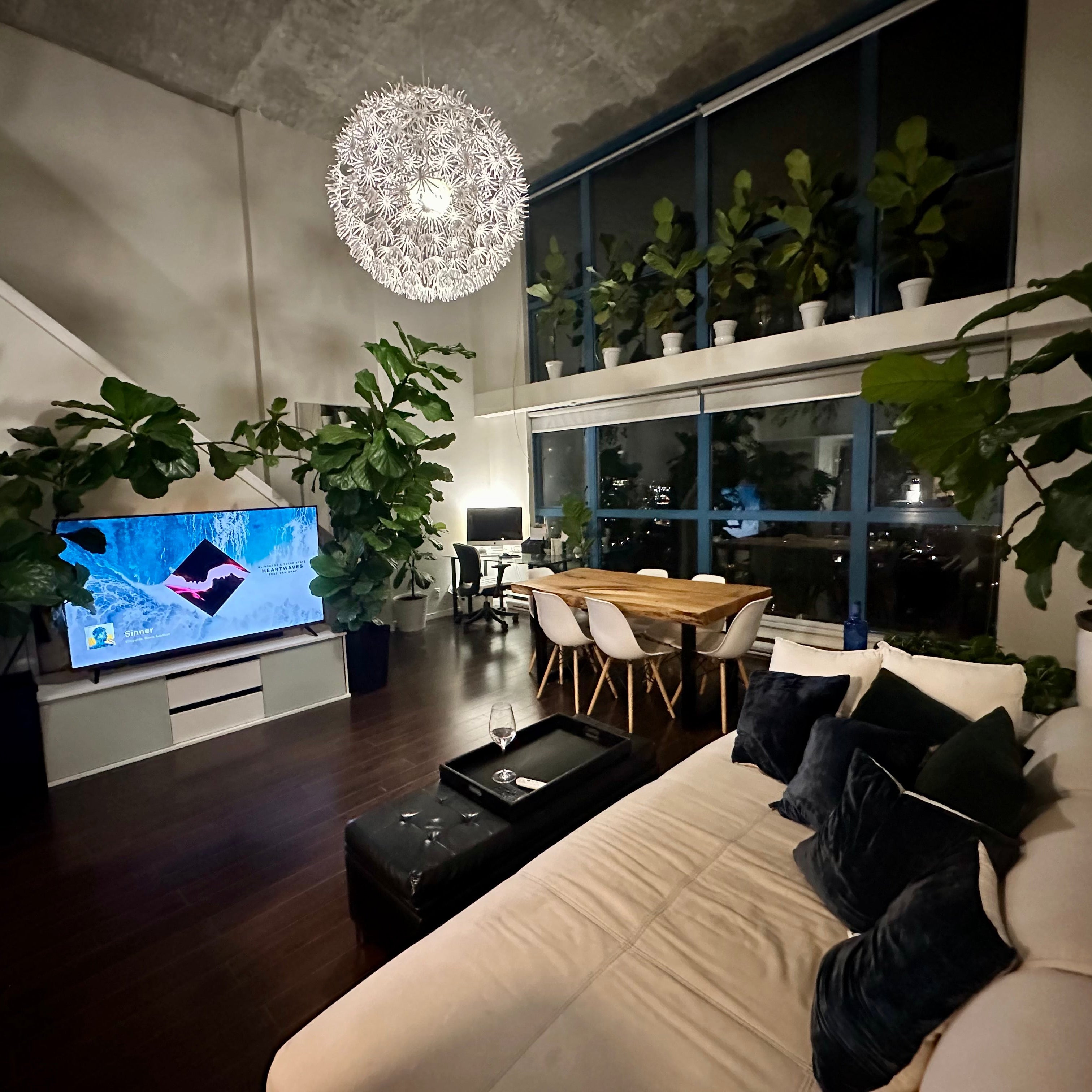 Modern living room with a TV, sofa, and decorative plants.