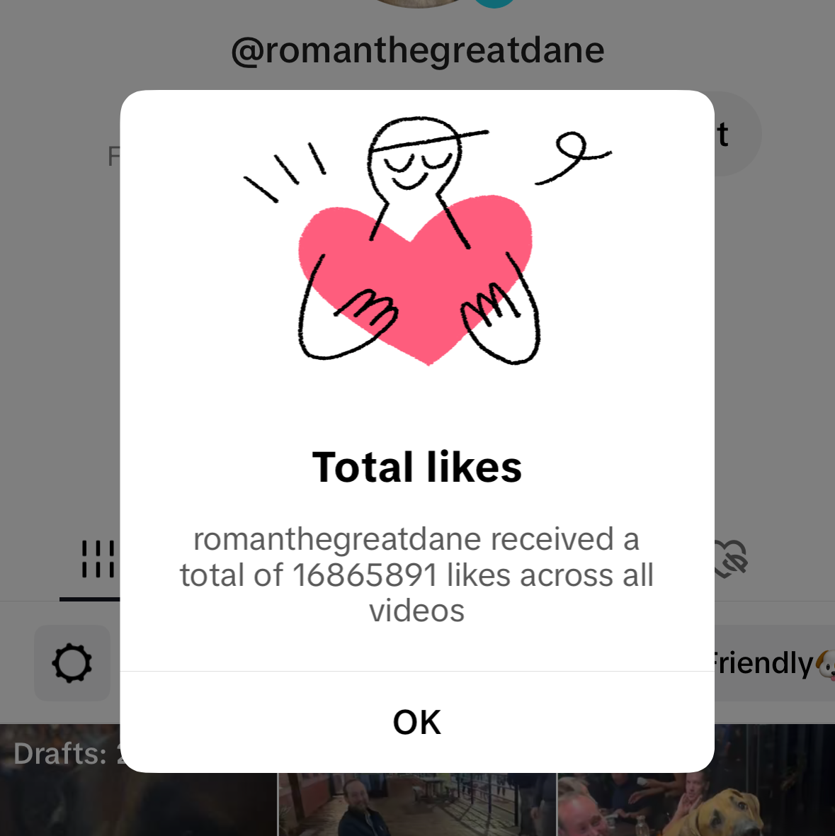 Pop-up showing total likes received on a social media platform with a dog's profile in the background.
