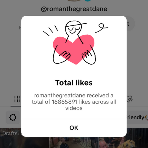 Pop-up showing total likes received on a social media platform with a dog's profile in the background.