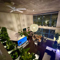 Modern living room with plants, a TV, and people sitting around a table.