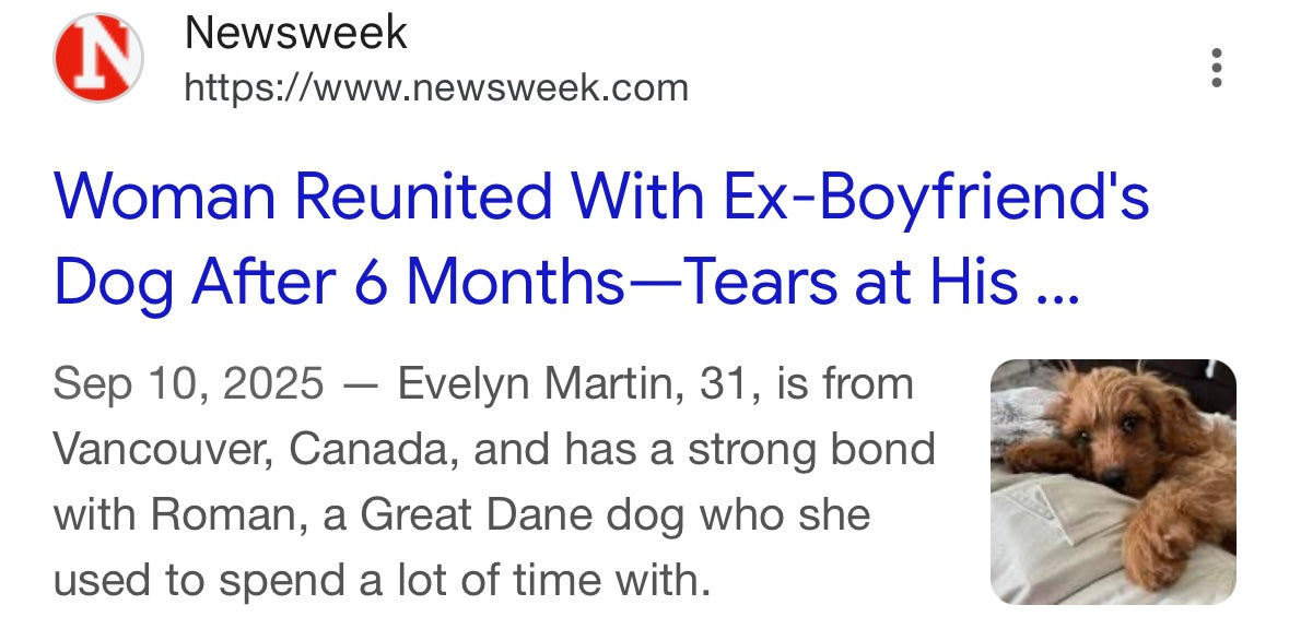 News article from Newsweek about a woman reuniting with her ex-boyfriend's dog after six months.