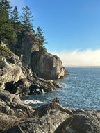 Pacific Northwest coastline with rocky cliffs and forest 