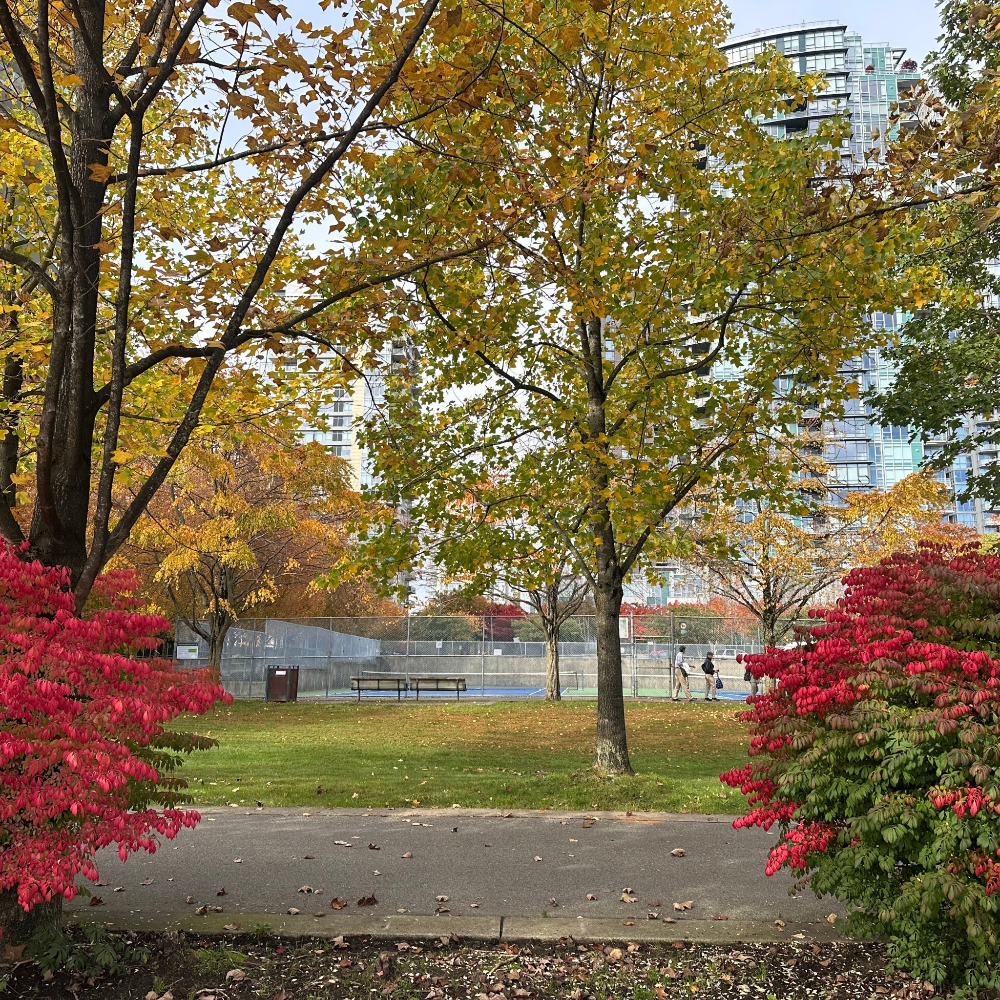 Park scene with trees, bushes, tennis court, and city buildings in the background