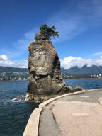 Rock formation with a tree on a waterfront with a clear blue sky.