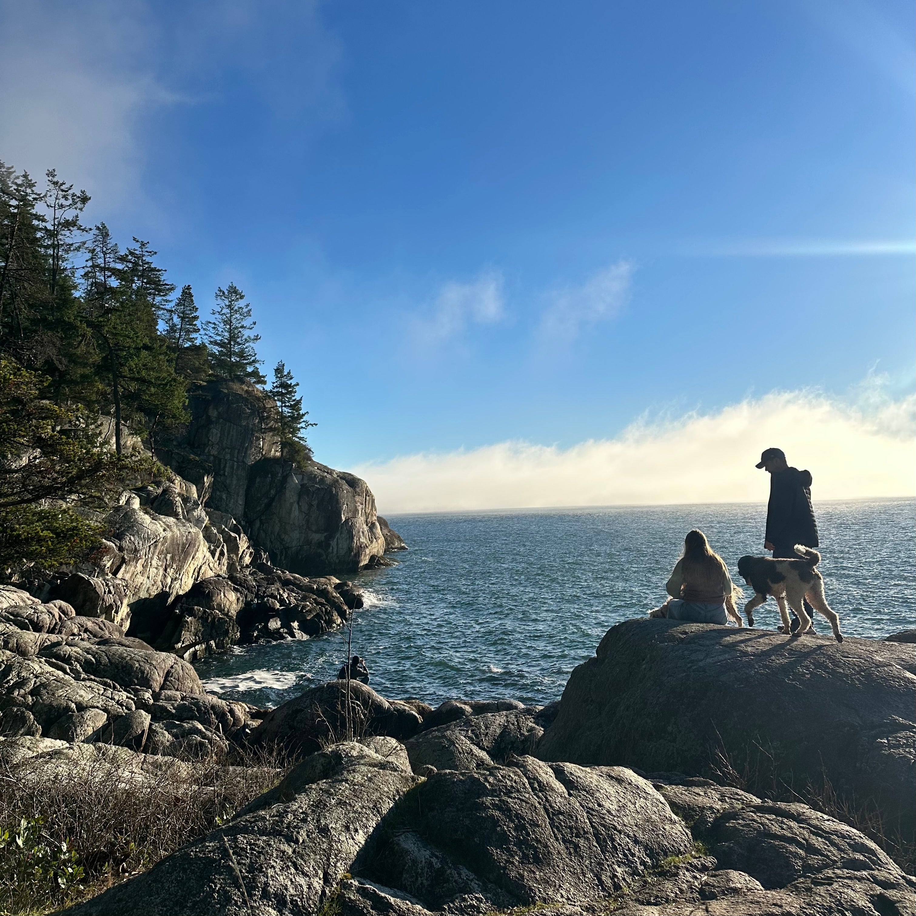 Rocks by the Pacific Northwest ocean with trees and coastline in the background.