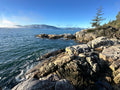 Rocky Pacific Northwest coastline with ocean waves and a clear blue sky