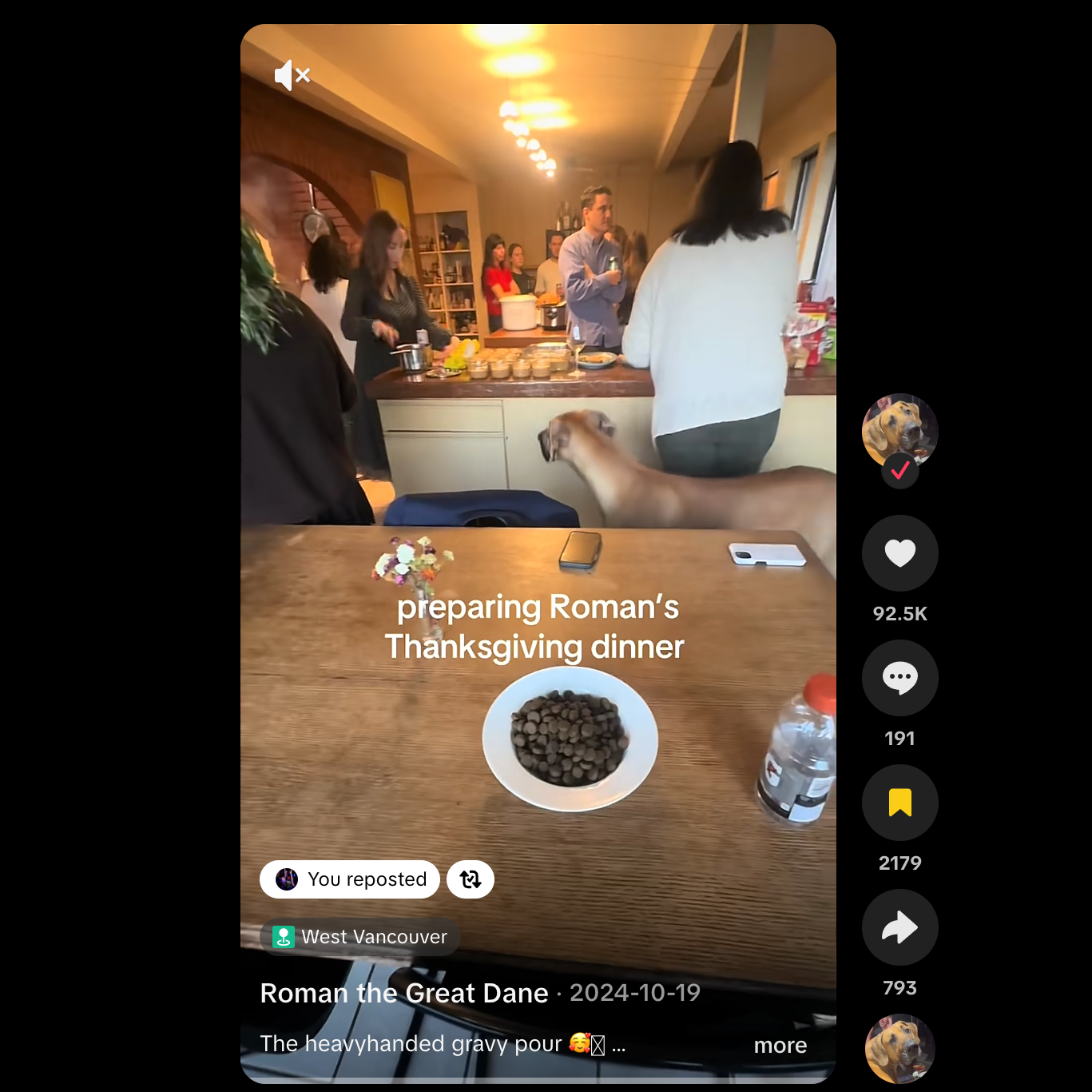 A screenshot of a social media video showing a group of people preparing Thanksgiving dinner in a kitchen, with a dog standing nearby and a bowl of kibble on the table. The screenshot is displayed within a mobile app interface with engagement metrics on the right.