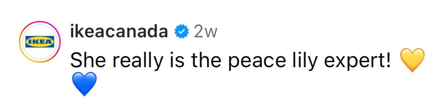 IKEA Canada tweet with text and emojis about a peace lily expert