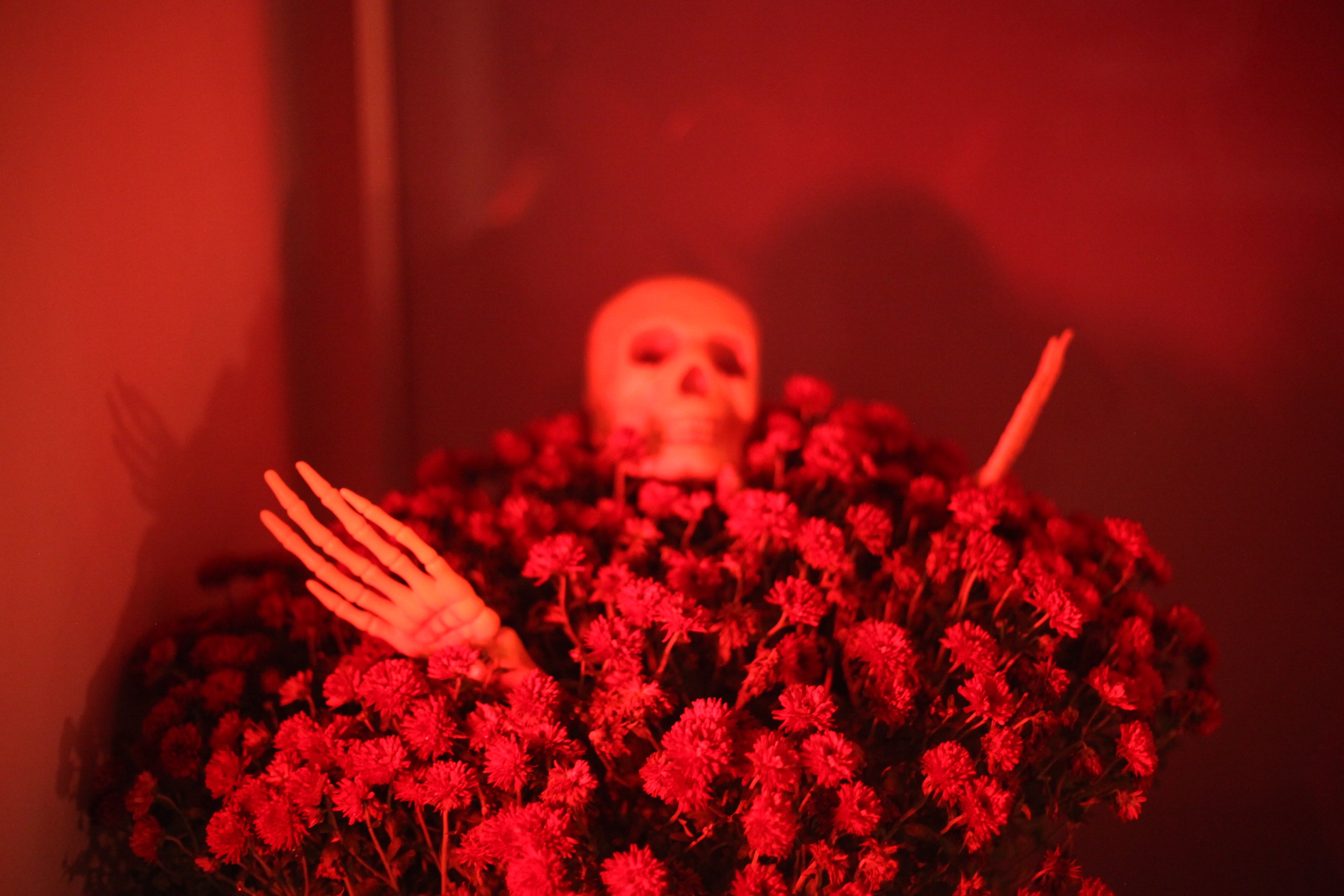 Skeleton holding a bouquet of flowers in a red-lit setting