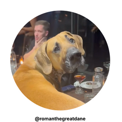 Roman The Great Dane Corporate Logo