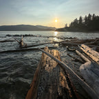Sunset over a the water with logs and trees on the shore
