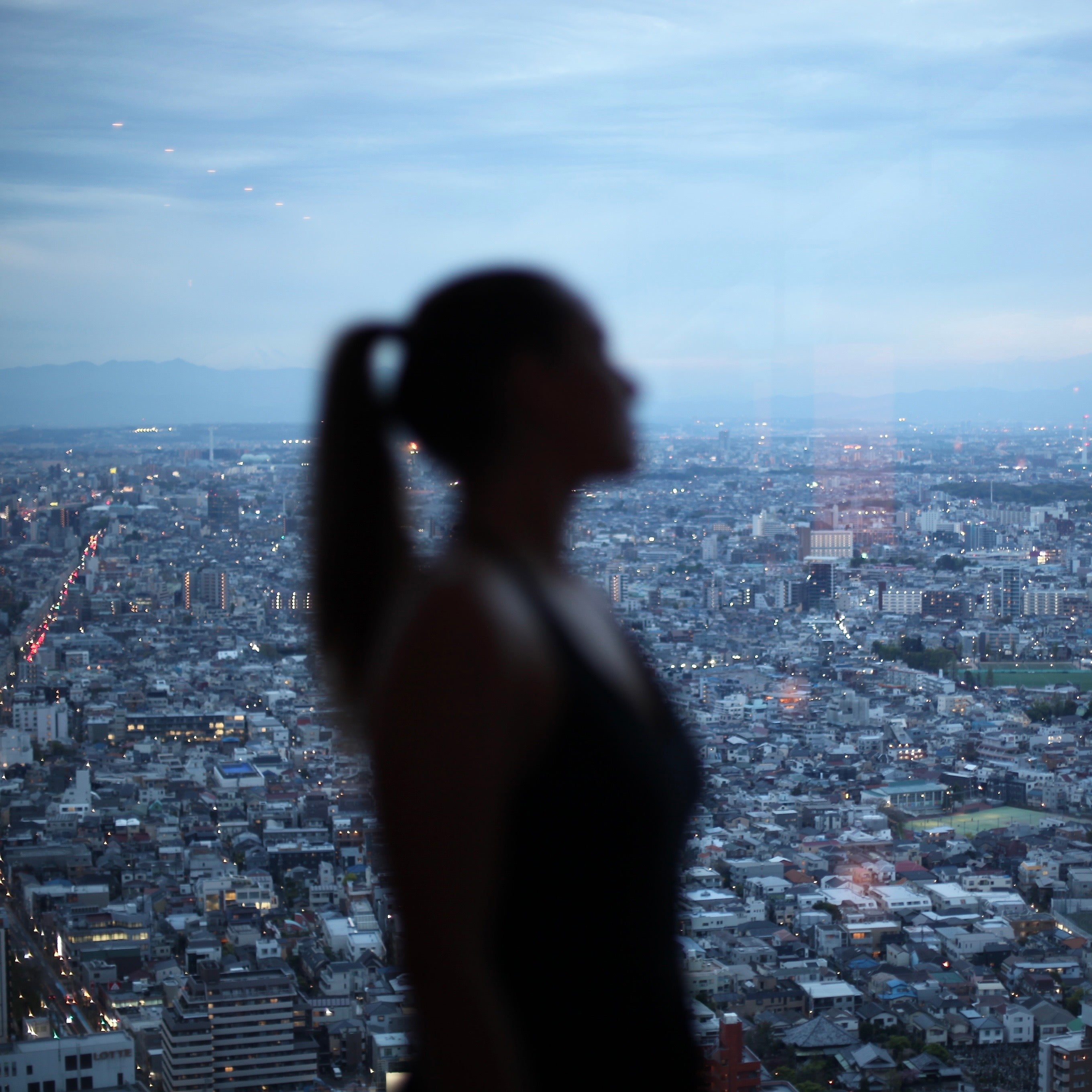 Silhouette of a person against a cityscape at dusk