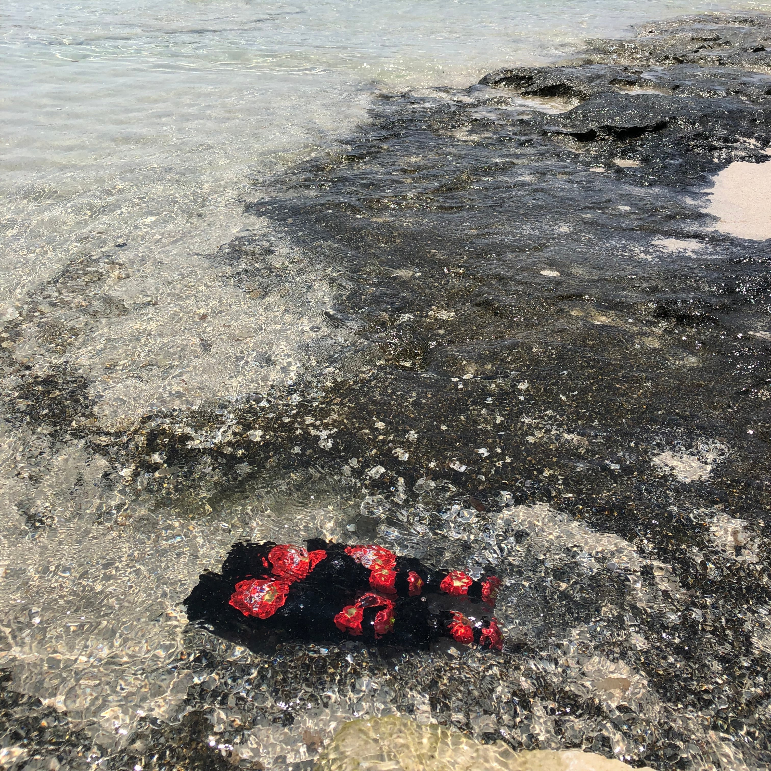 Red and black objects on a textured surface with water in the background