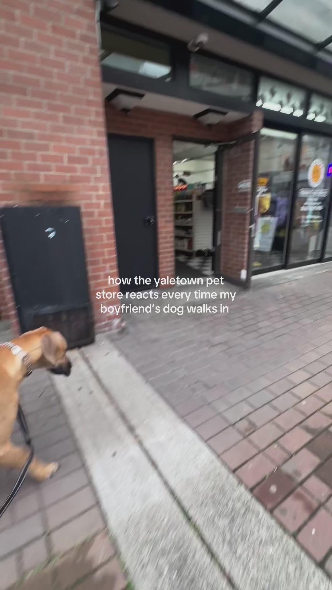 How the Yaletown pet store reacts when my boyfriend's dog walks in