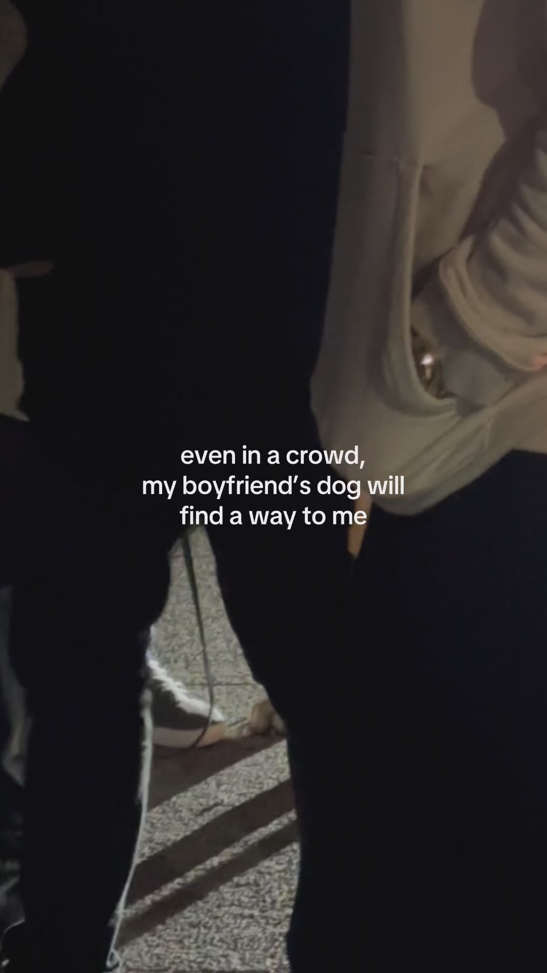 Even in a crowd my boyfriend's dog will find a way to me