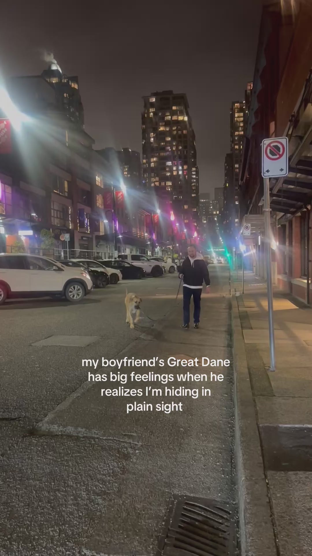 My boyfriend's great dane has big feelings when he realizes I'm hiding in plain sight
