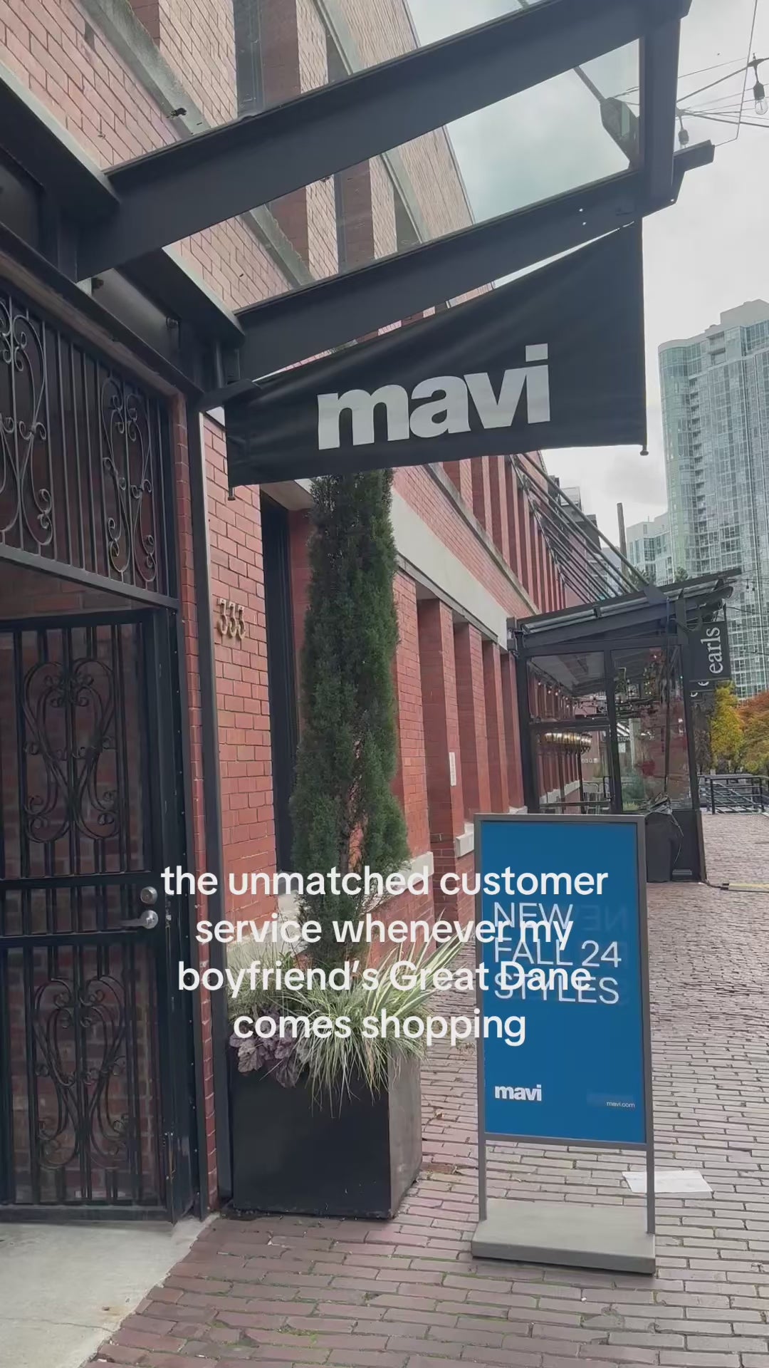 The unmatched customer service whenever my boyfriend's great dane comes shopping