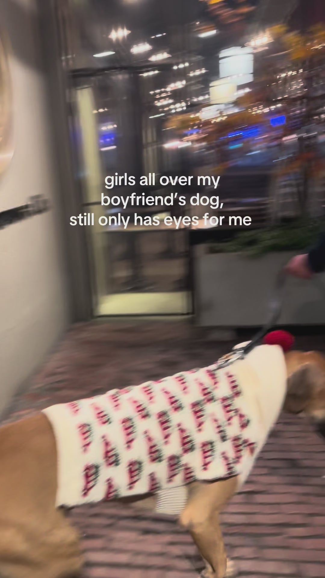 Girls all over my boyfriend's dog, still only has eyes for me