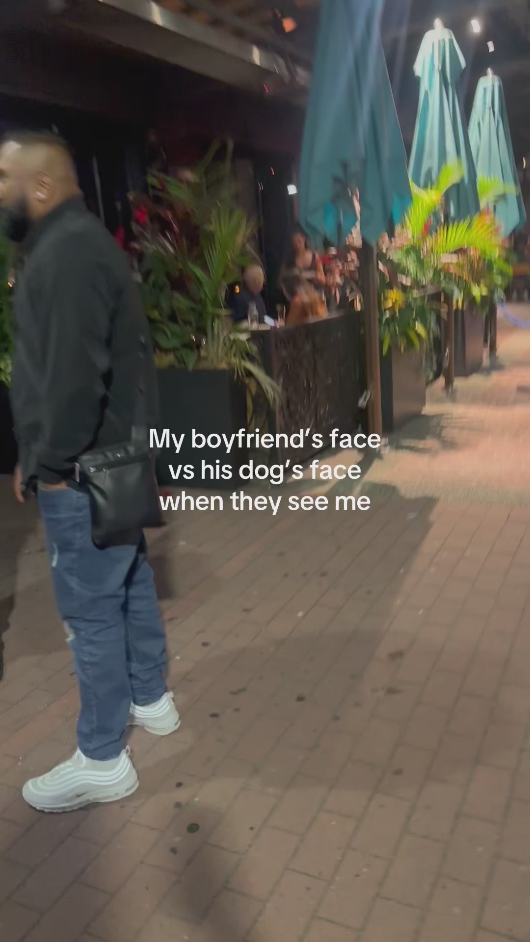 My boyfriend's reaction vs his dogs reaction to seeing me