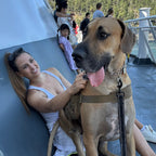 Woman with a large brown dog on a boat deck with people in the background