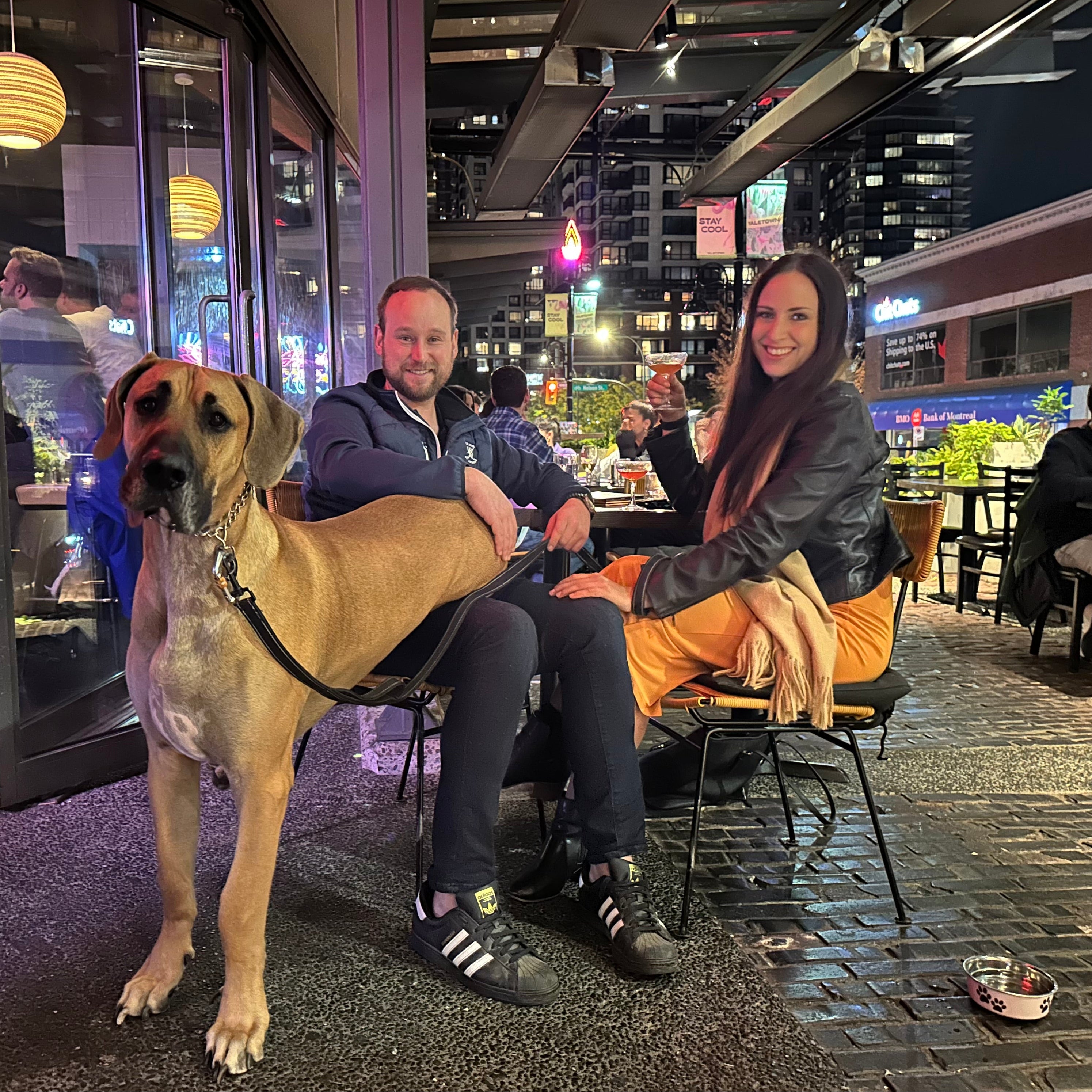 Two people sitting with a large dog on a rooftop bar with cityscape background