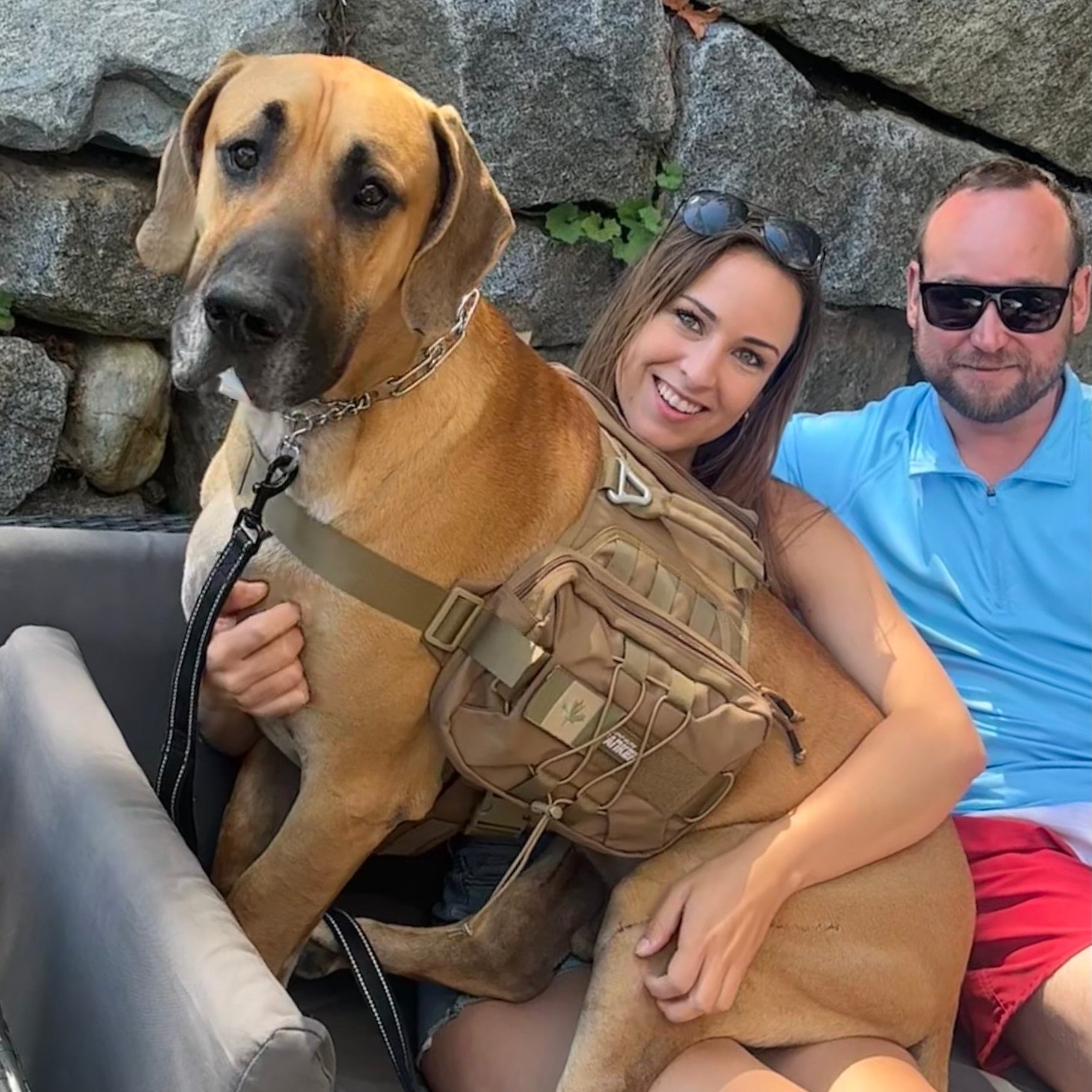Woman holding a large dog wearing a tactical vest with a man sitting next to them outdoors.