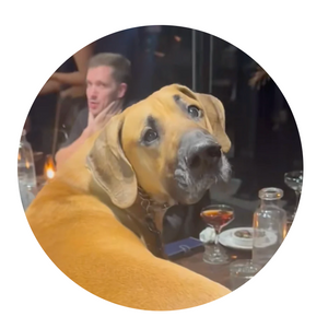 @romanthegreatdane Corporate Logo